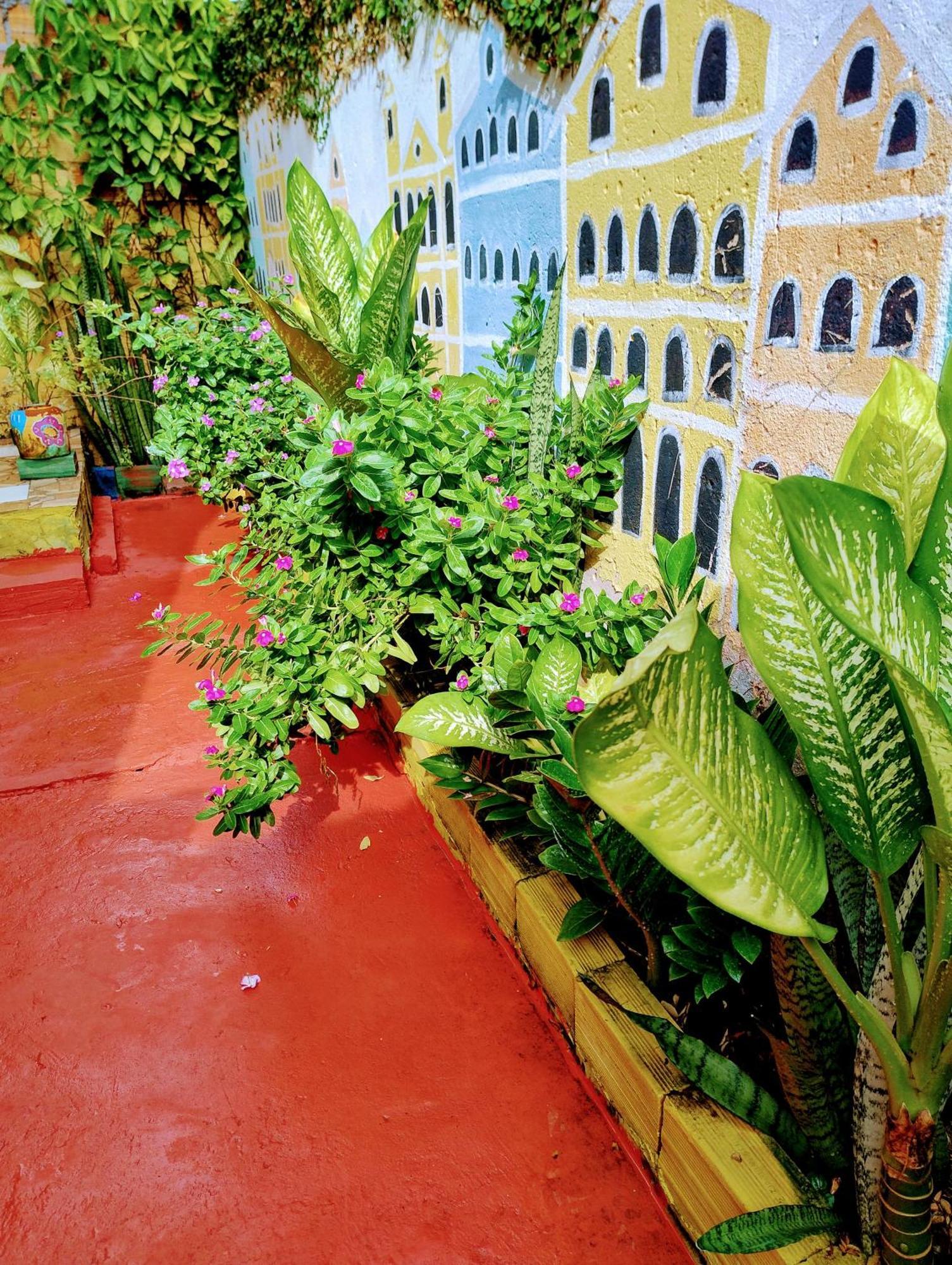 Perto Do Aeroporto De Salvador - Dona Pitanga Hostel Lauro de Freitas Ngoại thất bức ảnh